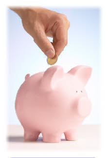 Save money with affordable bespoke software